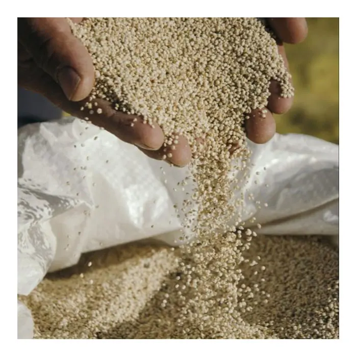 
Origin Type Variety Size Grade MIN Fresh Broken Place Model QUINOA 