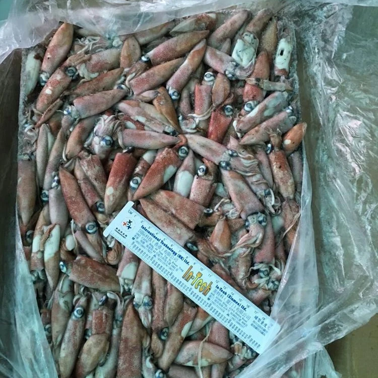 2019 новая распродажа, lолиго кальмар WR