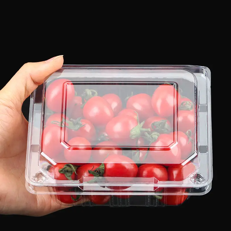 Customizable Disposable Recyclable Clear Pet Blister Plastic Fruit Box for Strawberry and Blueberry Container