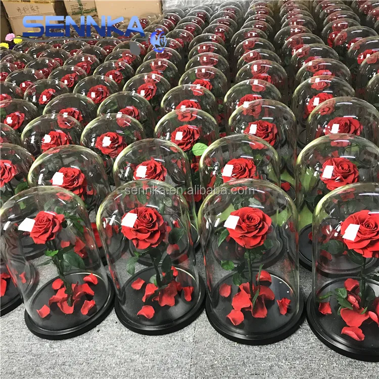 Алибаба заводская цена консервированный цветок розы в стеклянной купольной