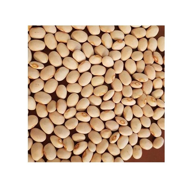 Cheap Tasty Common Fresh Ethiopian Plight Light  Brown Creamy Beans Kidney Beans Product Price