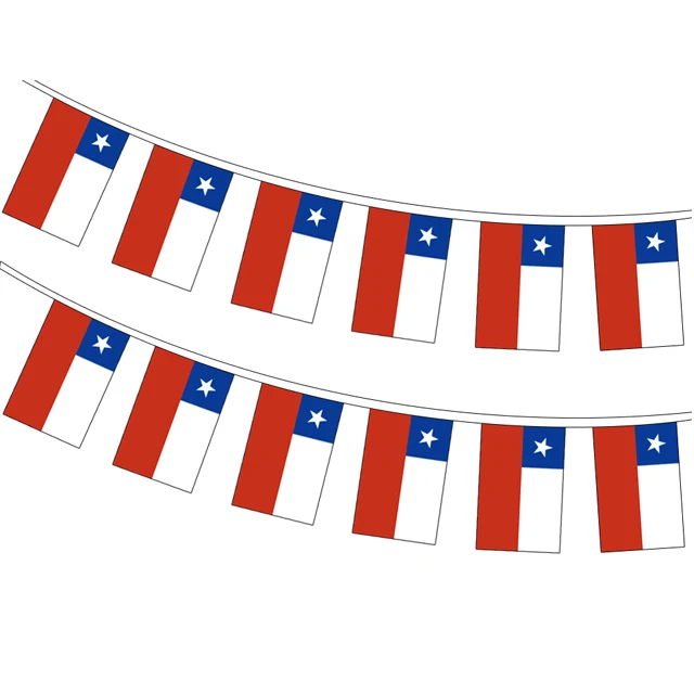 High quality Switzerland rectangle string flag polyester pennant bunting national flags