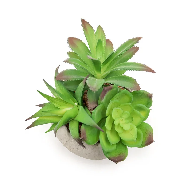 Small Cement Potted Artificial Echeveria Succulent Plants