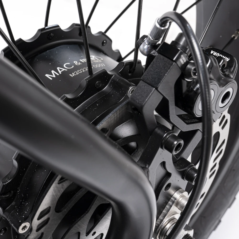 2023 Mario Ebike 20 Inch Mac Motor 1000w Electric City Bike Fat Tire Fast Speed 55Kmh Electric Mountain Bicycle