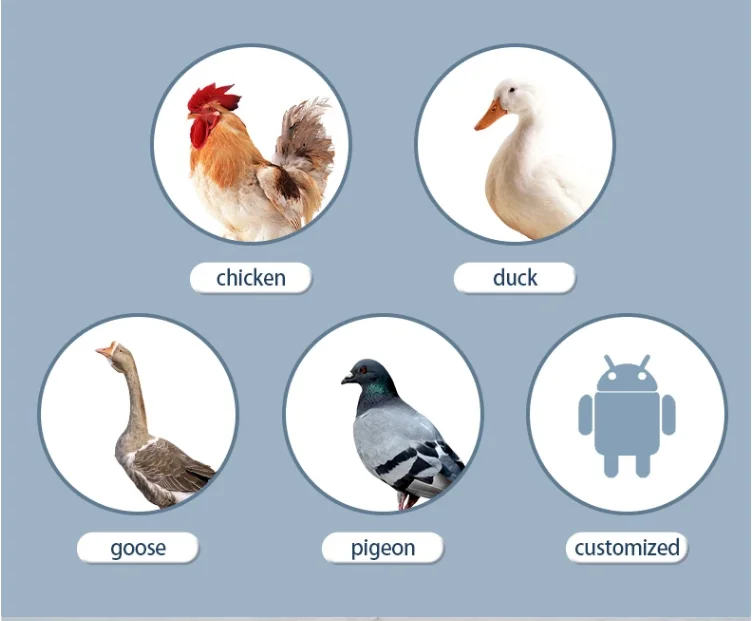 Incubator 128 chicken eggs farm incubation egg duck incubators for kinds poultry eggs