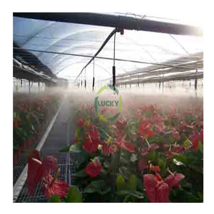 Agricultural Farming Multi-Span Green House Caterpillar Tunnel Chinese Style Culture On Co2 Generator Low Cost Greenhouse
