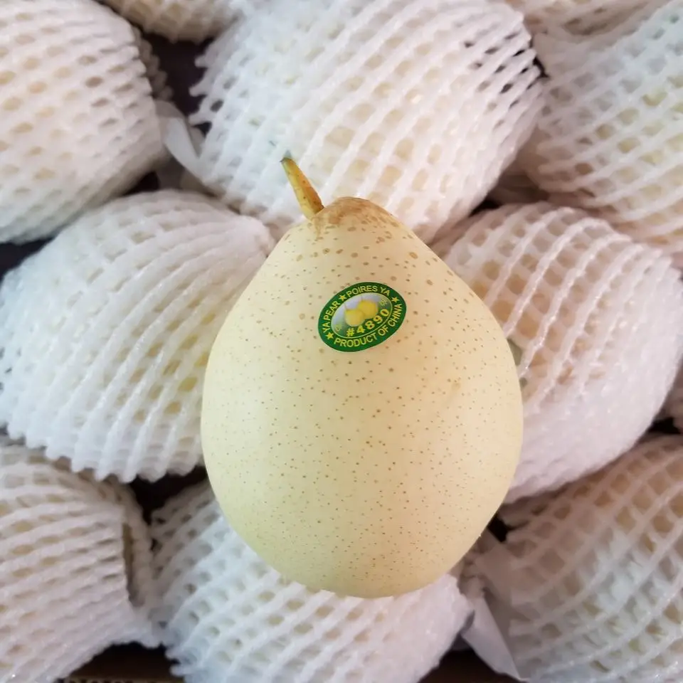 Juicy pear high quality for export from China fresh Ya pear hot on sale Chinese fruit sweet and
