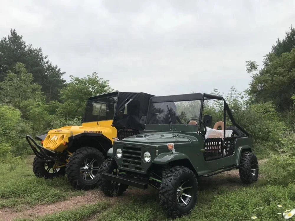 
New Design 4 People Off Road Dune Buggy/Mini Jeep/Electric Car For Fun 