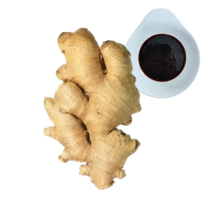 No Additives Natural  Ginger extract powder ginger oil ginger oleoresin