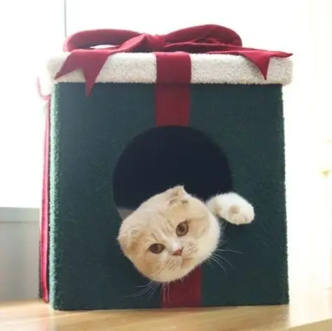 Xianchanpets Wholesale Cat Dog House Large Space Foldable Igloo Square Puppy Pet Bed Christmas Gift Box Indoor Use Animal Small