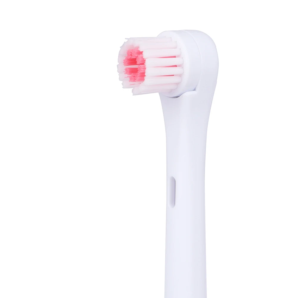 Personal care Oral hygiene  an Electric Toothbrush Customized Battery Electric Toothbrush