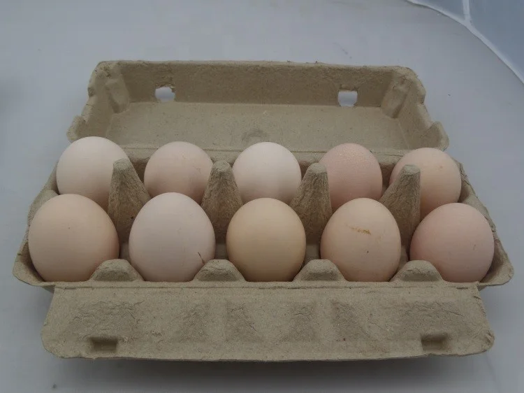China Factory High quality Chicken Egg Carton for sale