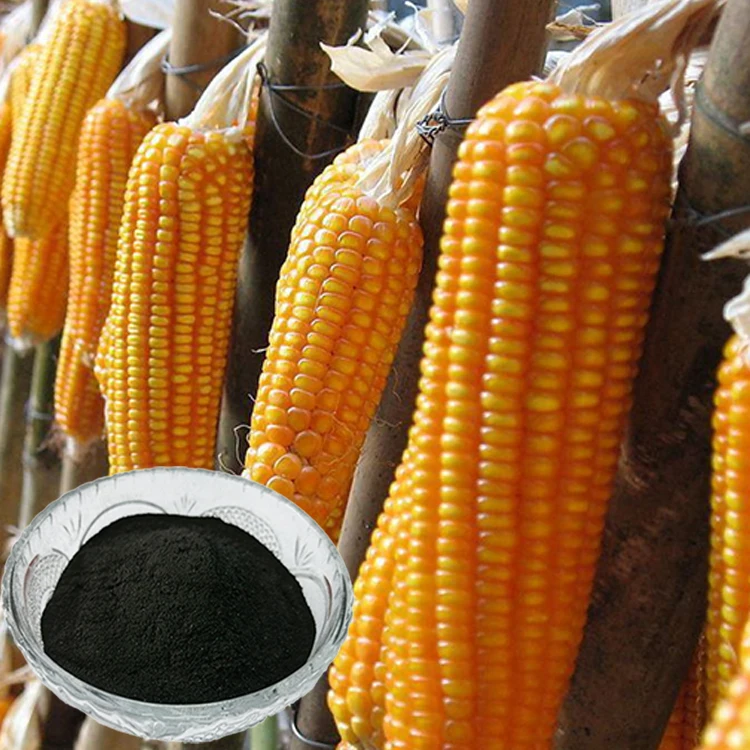 Ningxia Humate easily soluble in water organic solid fertilizer potassium humate humic acid to loosen the soil