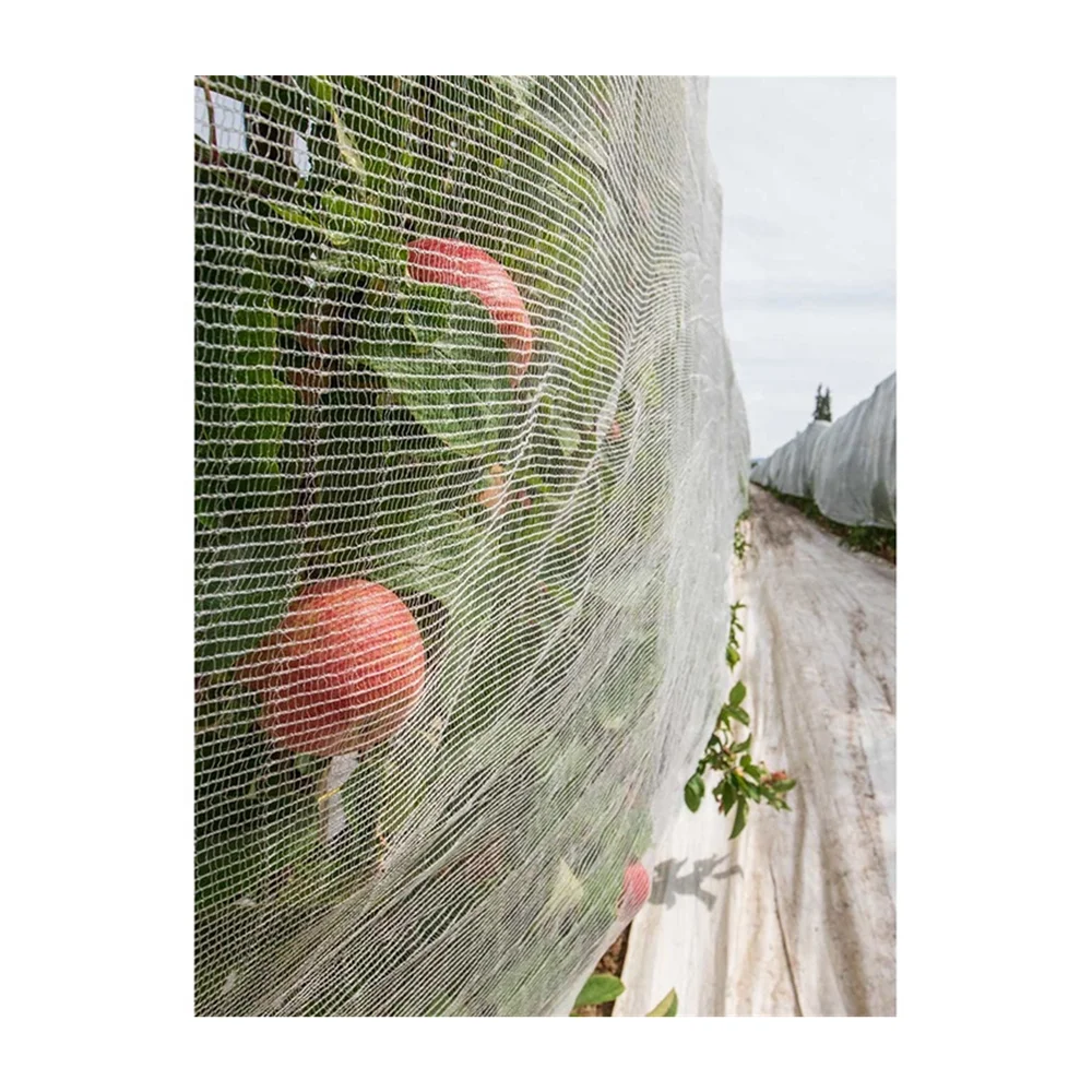 Gold Supplier High Quality Outdoor Tomato Protect Insect Proof Mesh Fine Mesh Net