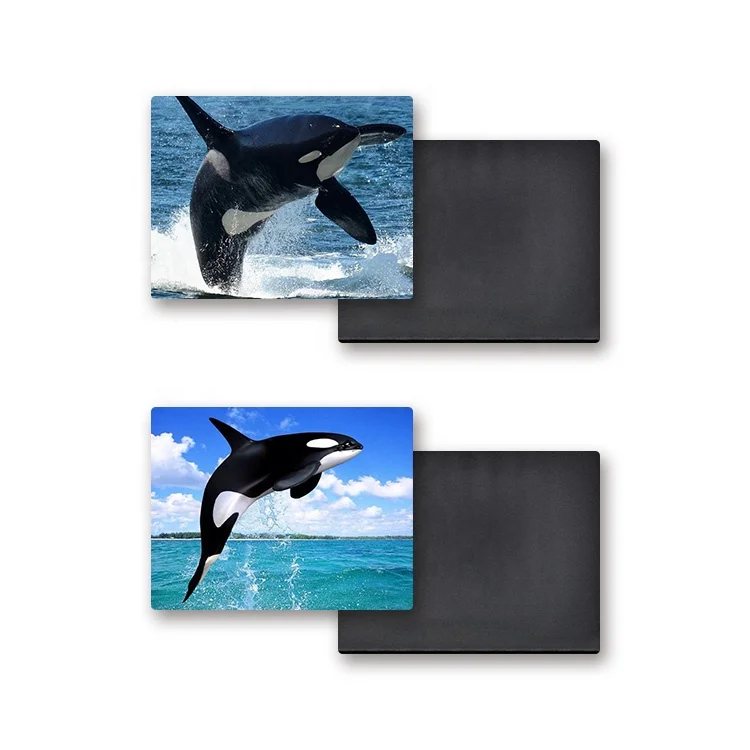 3D Fridge Lenticular Magnet UV Printing Eco - Friendly Material