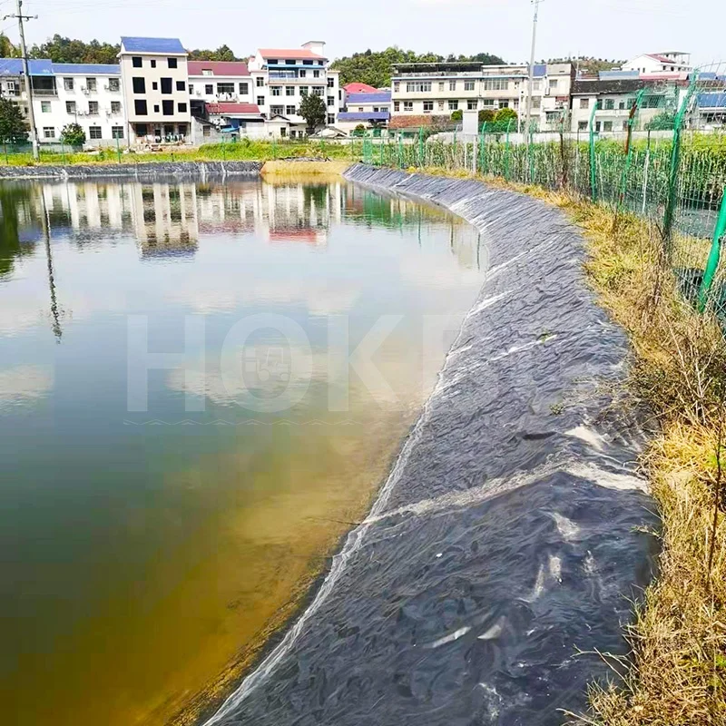 HOKBG Factory Geo Greenwall Geotextile Silt Curtain Geotechnical Fabric for pond