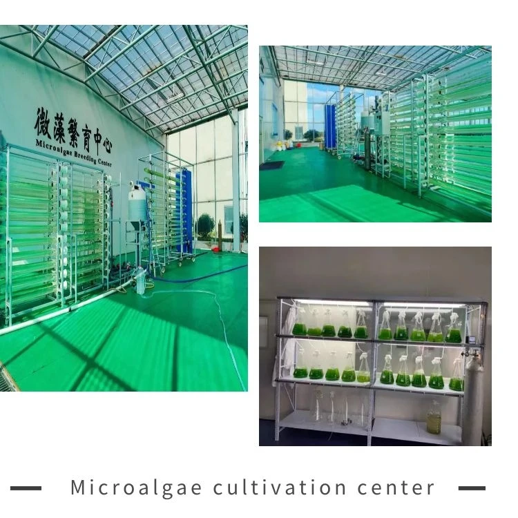 Amazon Buyer of Spirulina Tablets/Powder