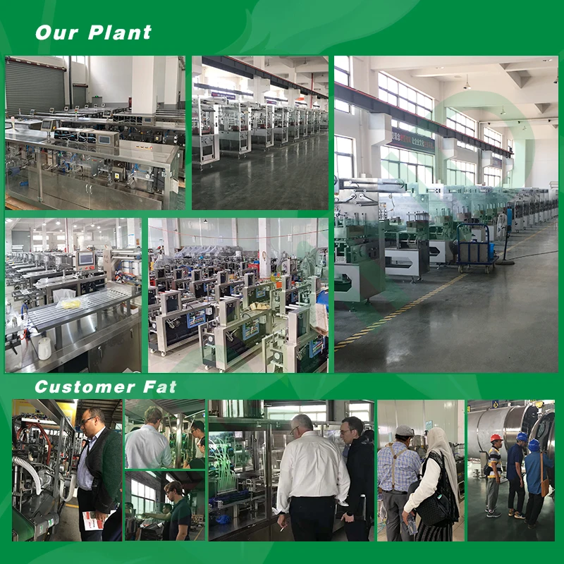 DPP 80 88 90 110 Full Automatic High Speed Blistering Machine Syringe Blister Packing Machine