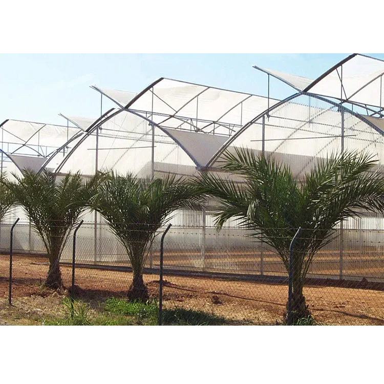 Galvanized Steel Frame Single Span Pe Film Greenhouse for Agriculture Low Cost Tunnel Greenhouse for Flowers Plant