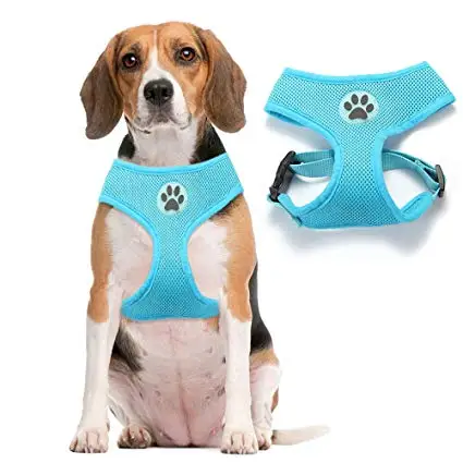 
Comfortable Soft Mesh Vest Dog Harnesses With Black Paw Logo 