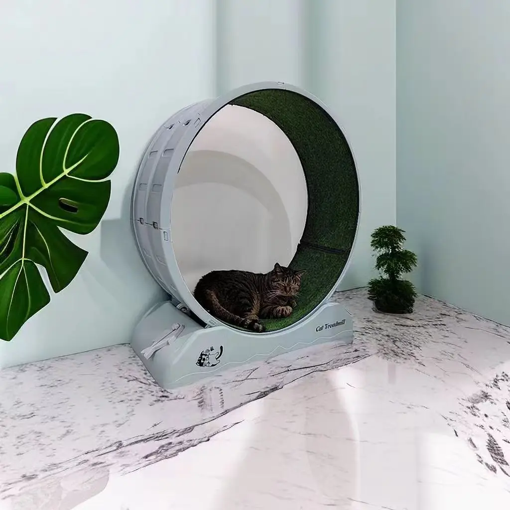Cat Training Wheel Silent Indoor pet exercise treadmill Interactive indoor fun play amazon hot sale price