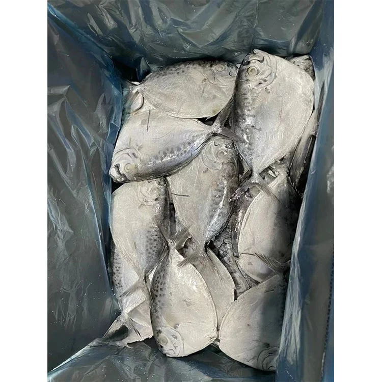 Морепродукты Лунная рыба океан морепродукты Красная Луна