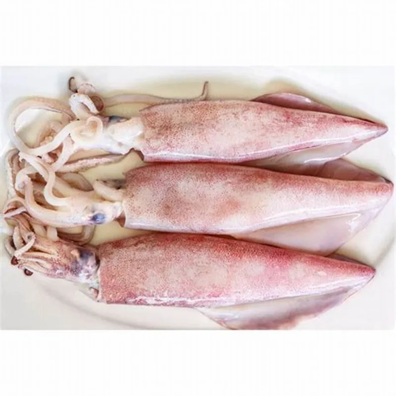 Блюдо из Шаньдун океанской деревни морепродукты высокого качества Illex каламари весь замороженный оптовая