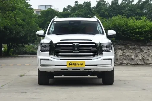 gasline car Tank 500 5 seats 7 seats gasoline 3.0T 48v china manufacturer Best product Hot sale SUV mini car adult