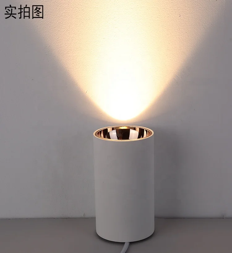 IP65 IP20 Outdoor ceiling lights surface mount 3000k 4000K 5700K 6500K downlight surface mount round in mini led dimmable