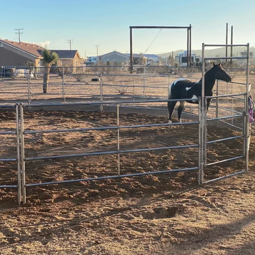 Metal fence panel horse yard panel horse stable
