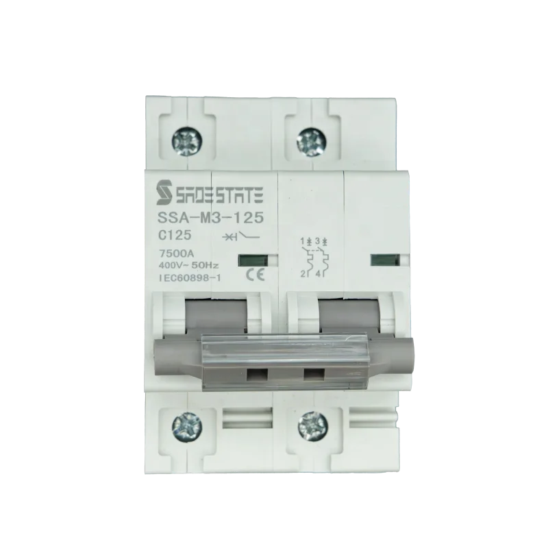 50/60hz Rated Mcb Circuit Breaker Flame Retardant Plastic Molded Case 125A 2P Miniature Circuit Breakers