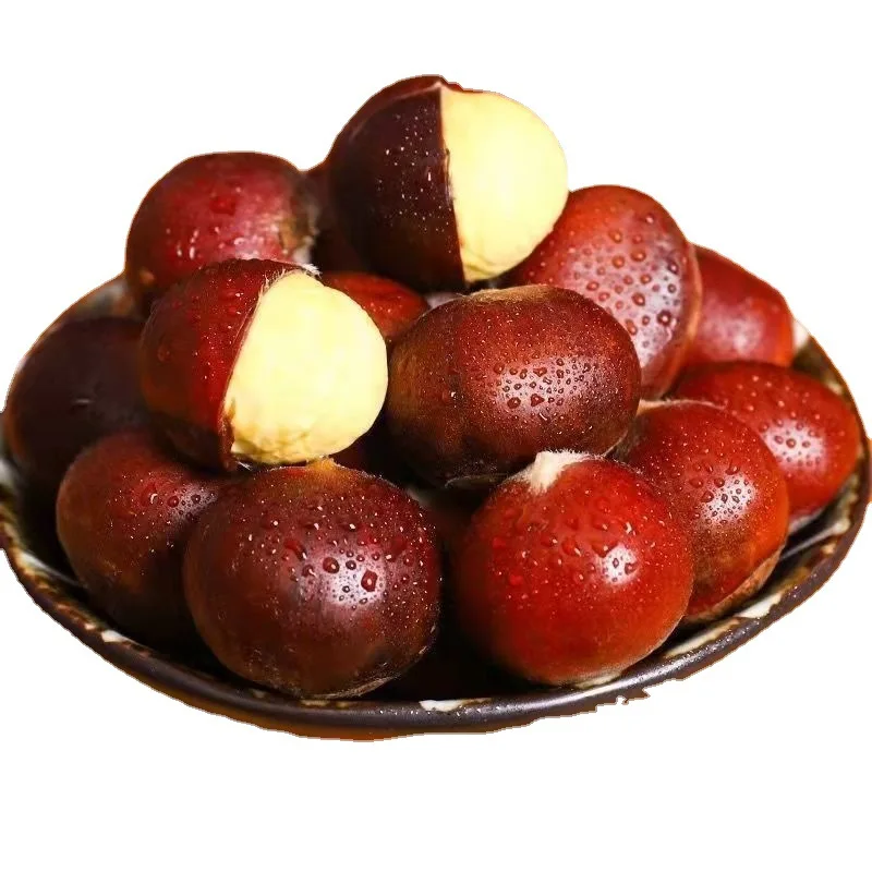 Bulk good quality New Crop chestnut Meikeduo China chestnuts Organic Chestnut