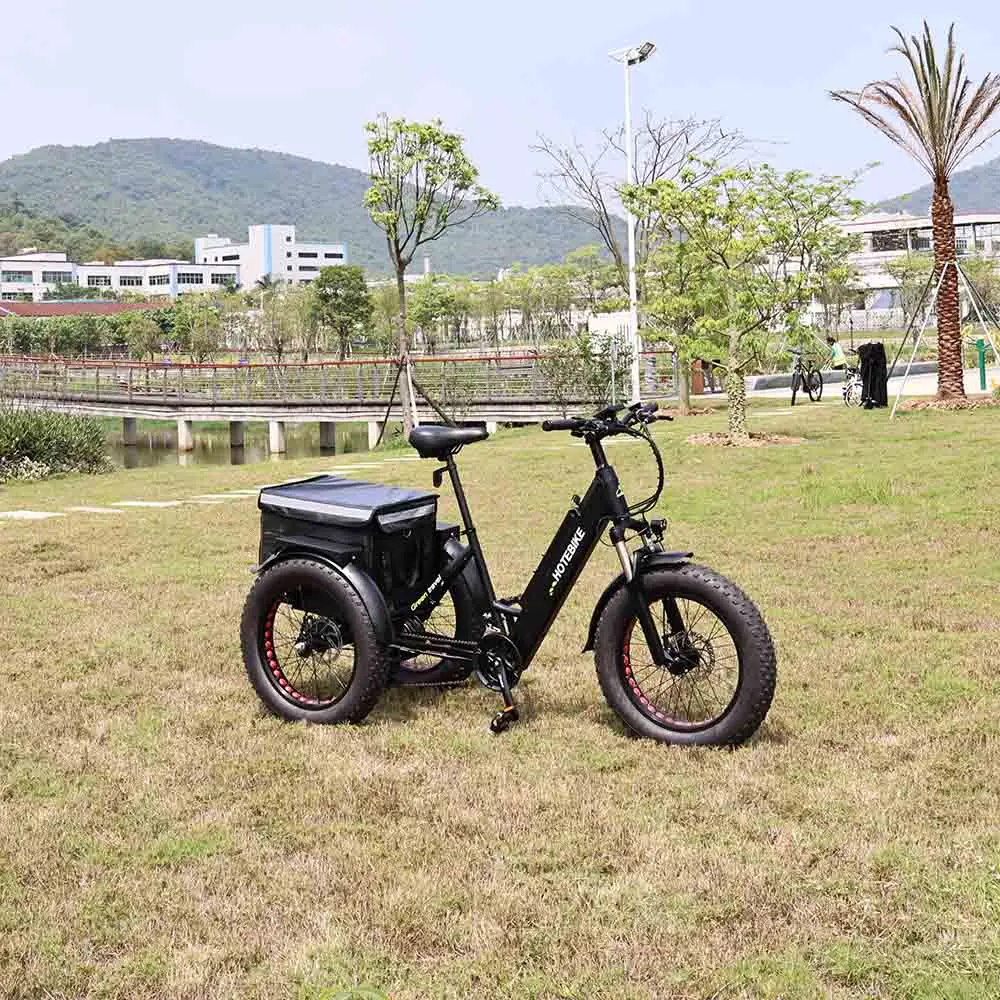 New Design 3 wheel electric bike ET250 cheap electric tricycle 20 inch 36V 250W motor electric bike with 3 wheels