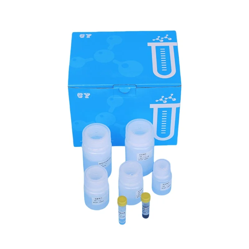 Магнитные шарики наборы для извлечения нуклеиновой кислоты изоляция РНК ДНК-очистка лабораторный реагент