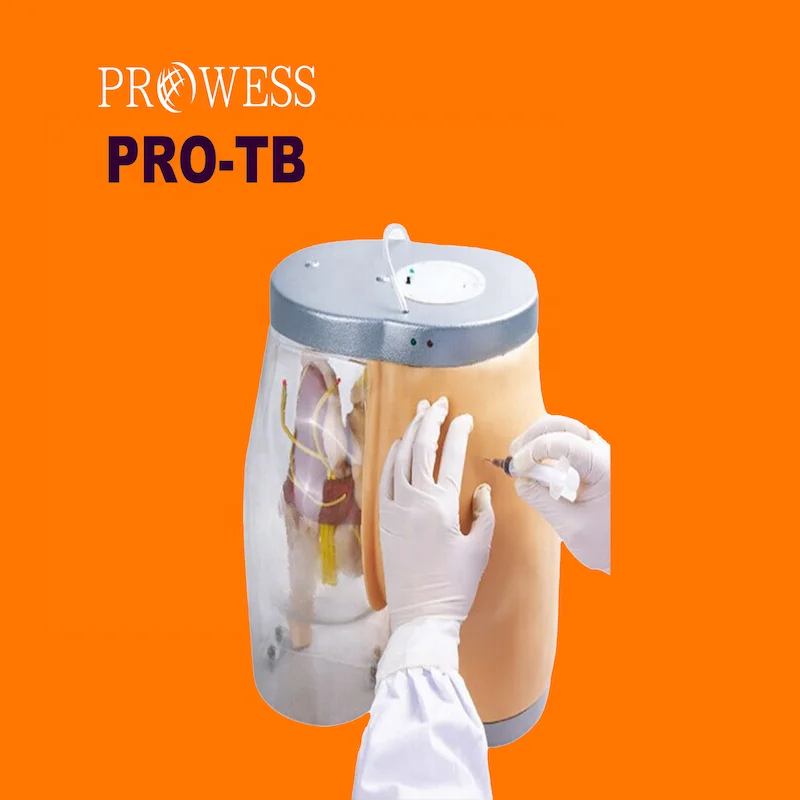 PRO-TB medical teaching not easy to deform comparative observation Buttocks Intramuscular Injection and Compared Simulator