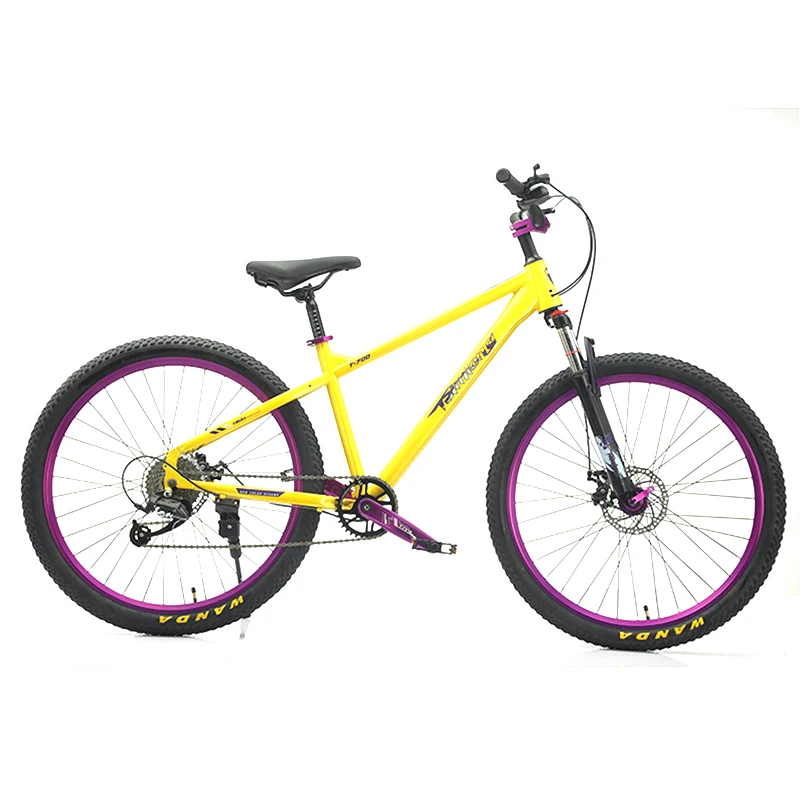 2025 NEW NT China factory cheap and good quality mountain Bicycle 20/22 /24/26 inch 9 speed adult bike student Bicycle.