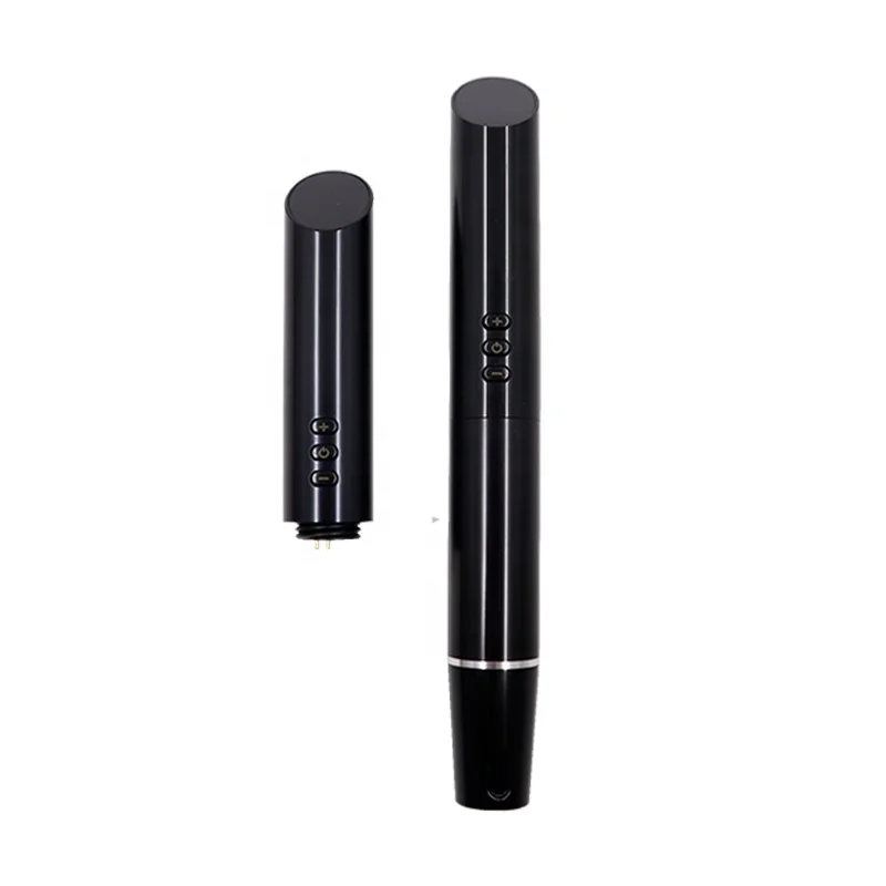 eyebrows scalp lips eyeliner smp wireless PMU universal cartridge machine Queen Pen pmu machine with 2 batteries