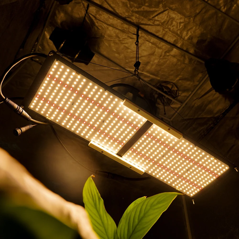  Meiju Samsung LM301B/H 3000K/3500K Mix IR 240 нм 2021 Вт QB Led лидер Продаж светодиодная промышленная лампа для медицинских
