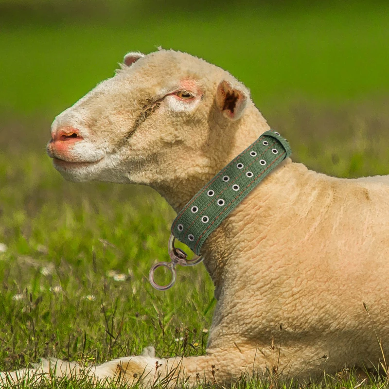 High Quality Adjustable Cow Sheep Neck Collar Cattle Neck Strap Calf Livestock Collar Belt Cattle Traction Thick Canvas Necklace