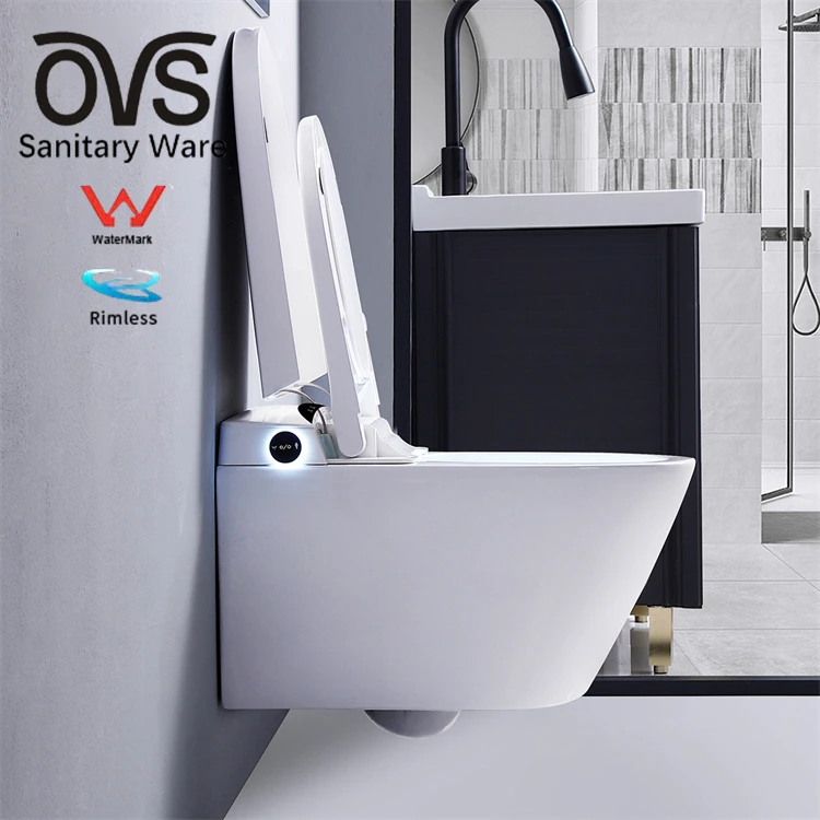 OVS WaterMark Australia Intelligent Toilets Smart Peeping Chinese Seat Electric Bidet Cover Automatic Toilet