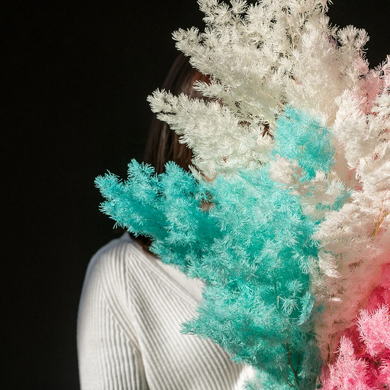 wholesale New Arrival Natural Everlasting Flowers Preserved Asparagus myrioeladus For Home Decoration