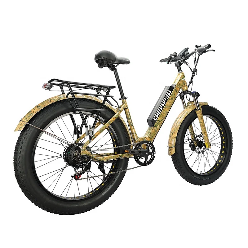 Help off-road ebike dirt-bike ebike men and women detachable battery custom ebike