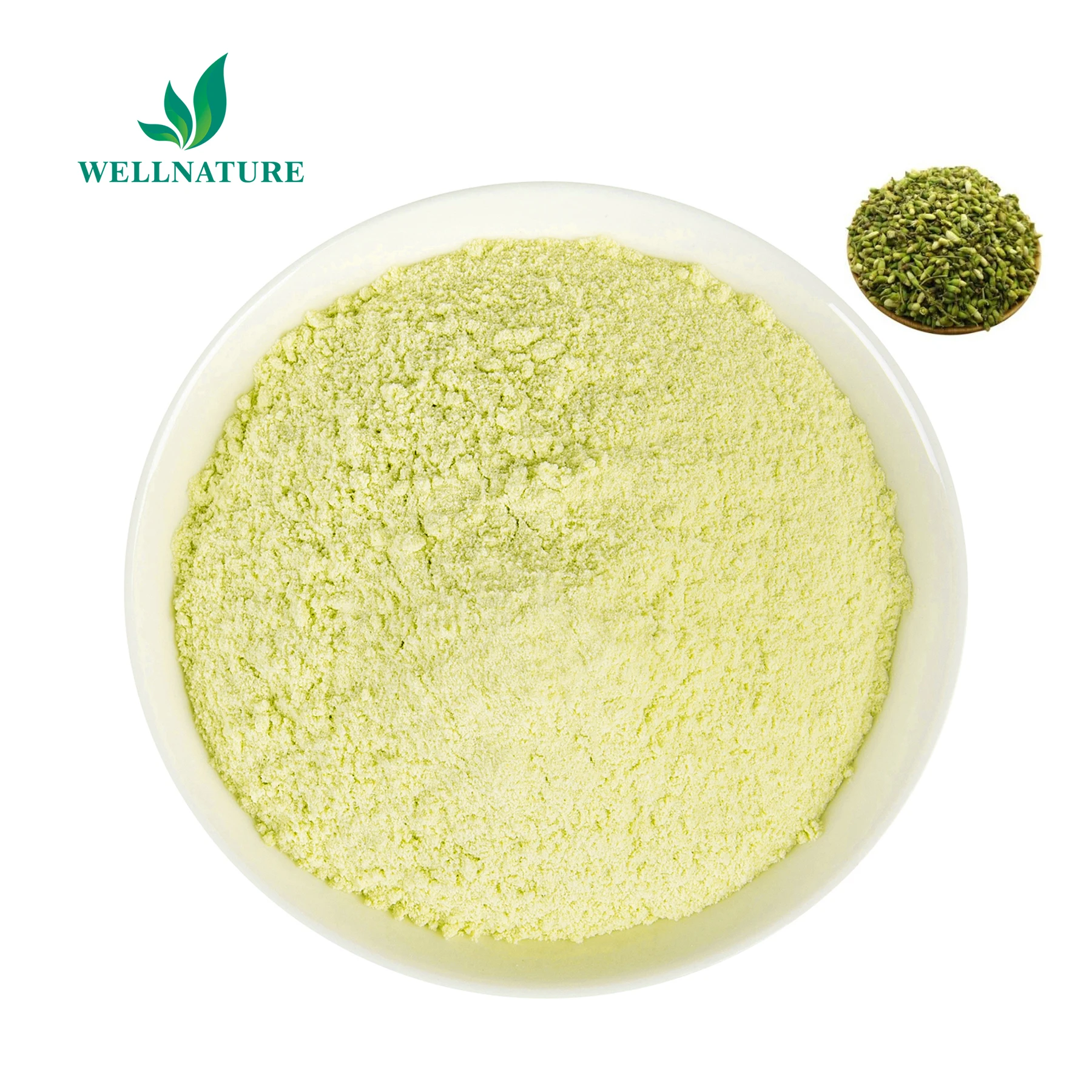 CAS 153-18-4 Rutin Sophora Japonica Extract Powder 95% Rutin Powder