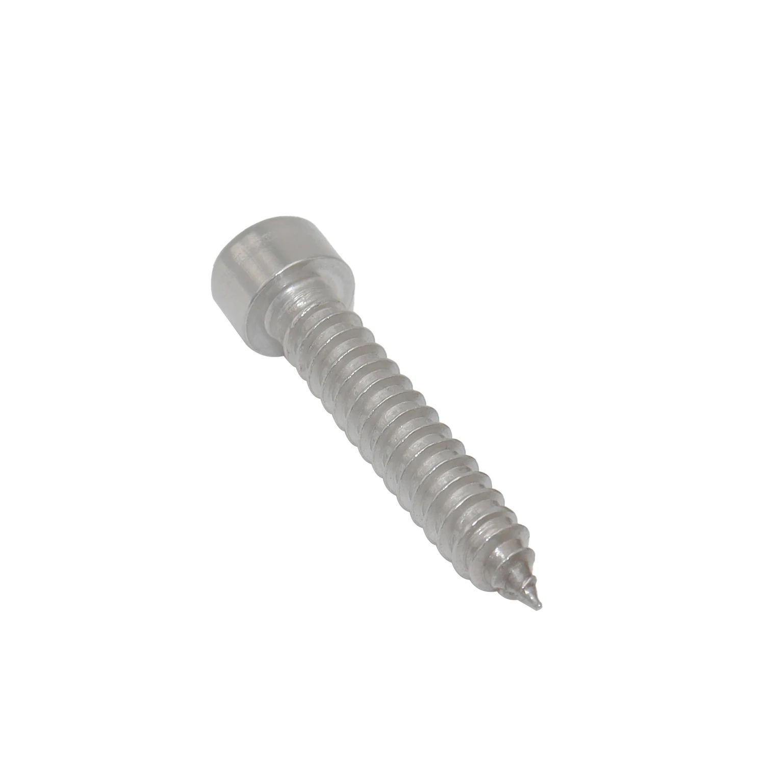 Stainless Steel 304 316 Allen Head Self Tapping Screw