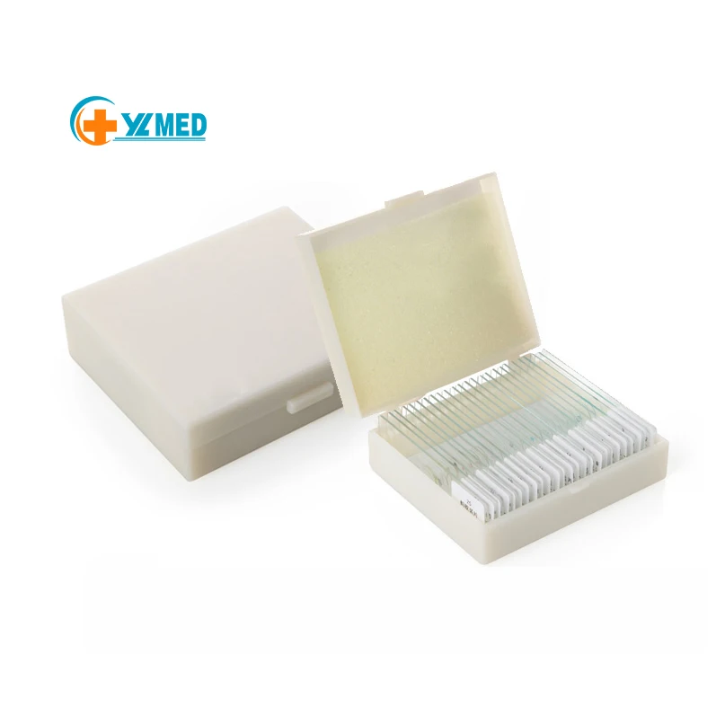Teaching Tools Student Gift Mixed 25 Pcs Set Biological Microscope Prepared Slides for Education