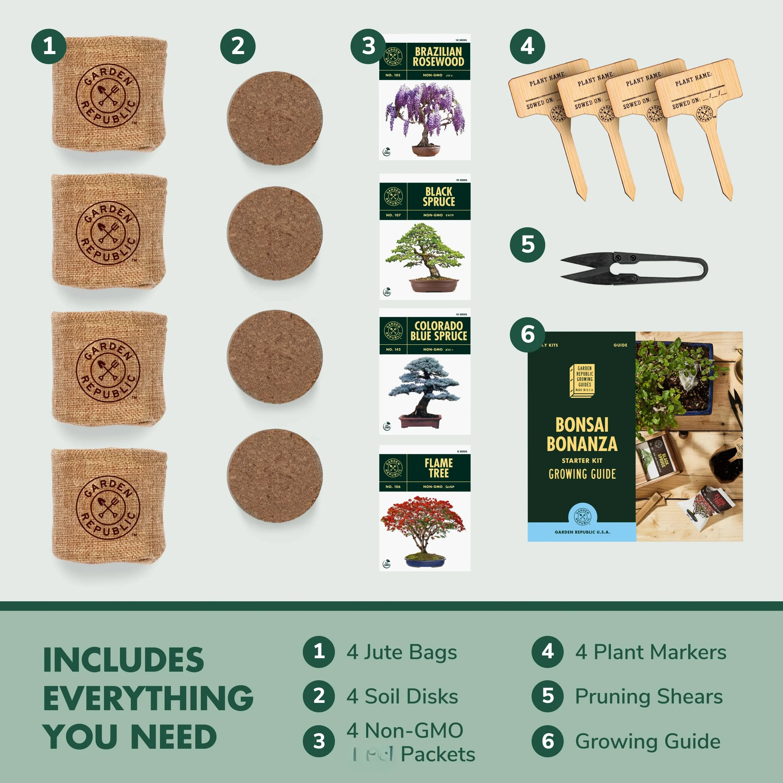 Hot Sale Home And Garden Products Gift Diy Ornamental Indoor Live Plant Natural Bonsai Starter Kit