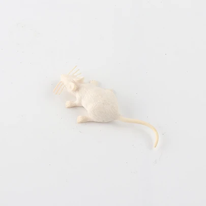 
Animal Toys Realistic Plastic Toy Simulated Mouse Model Realistic Terror Plastic Mouse for Halloween Joke Prank Toys For Kids 