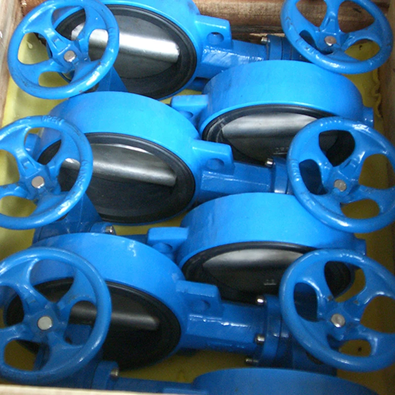 Double Eccentric Butterfly Valve Large Diameter Ductile Iron Double Offset Butterfly Valve