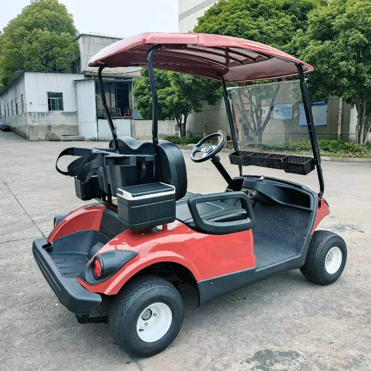300cc 2 Seater gas powered golf cart with petrol engine gasoline classic two Passengers golf carts