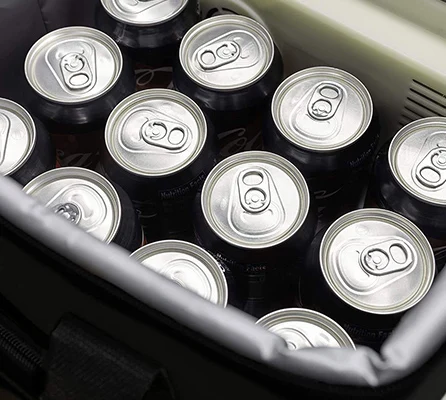 Hot Selling 15L Insulated Cooler Bag DC 12V Portable Flat Folding Cooler Bag Camping Fridge For Beach